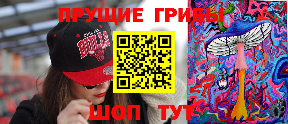 Галлюциногенные грибы Psilocybe Новодвинск