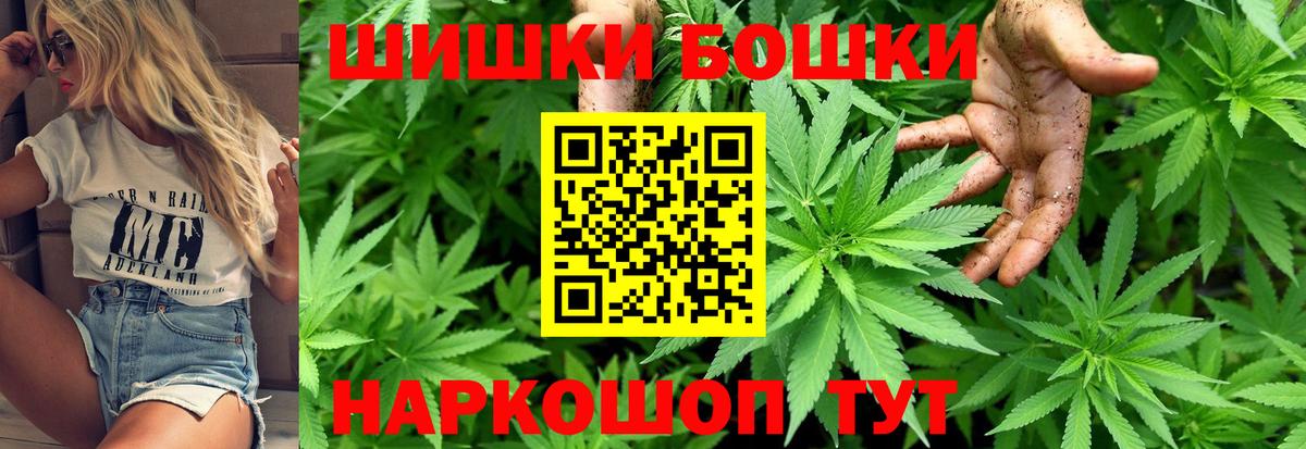 МЕФ Новодвинск